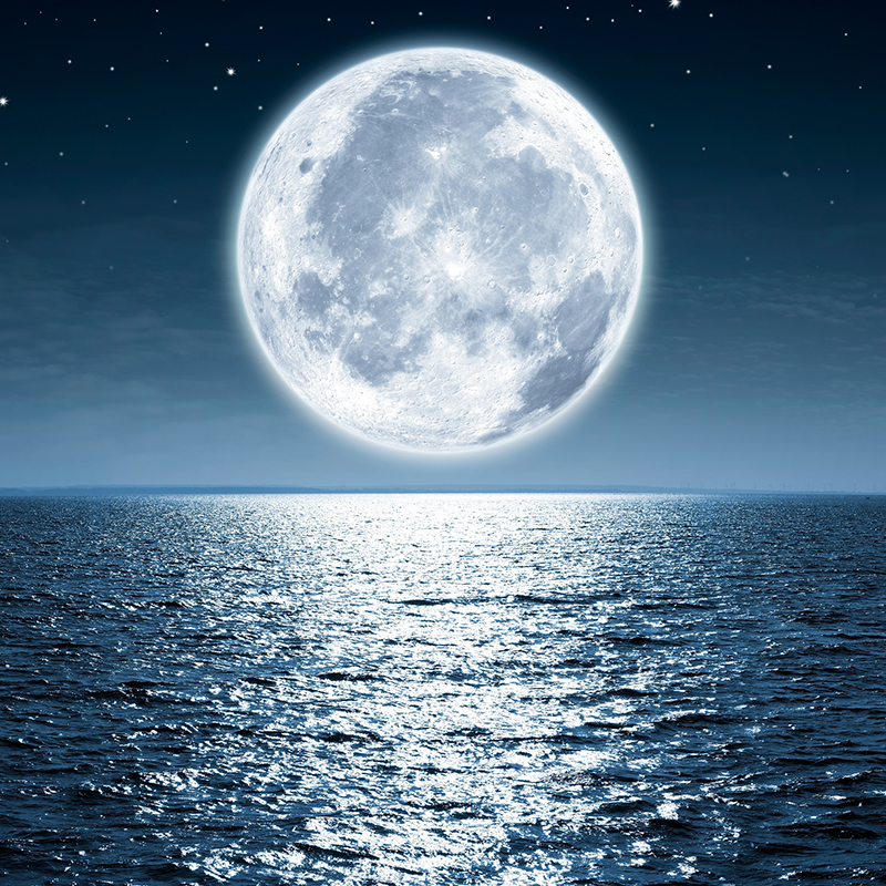 Выходной в полнолуние