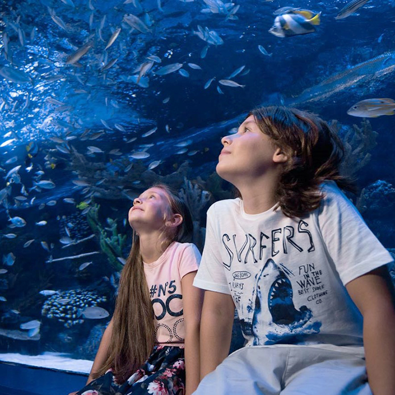 Туннельный аквариум