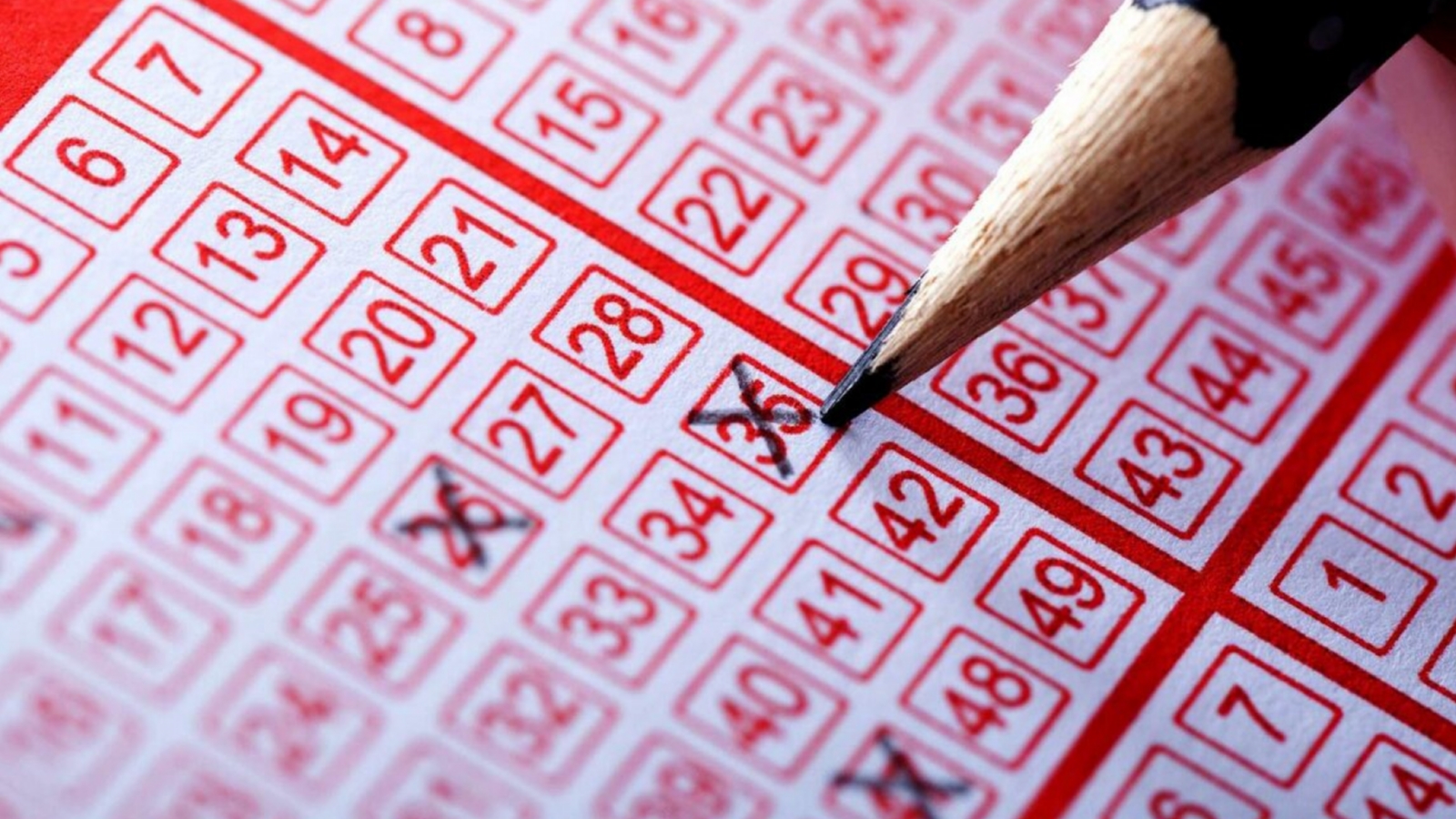 Азартные доминиканцы