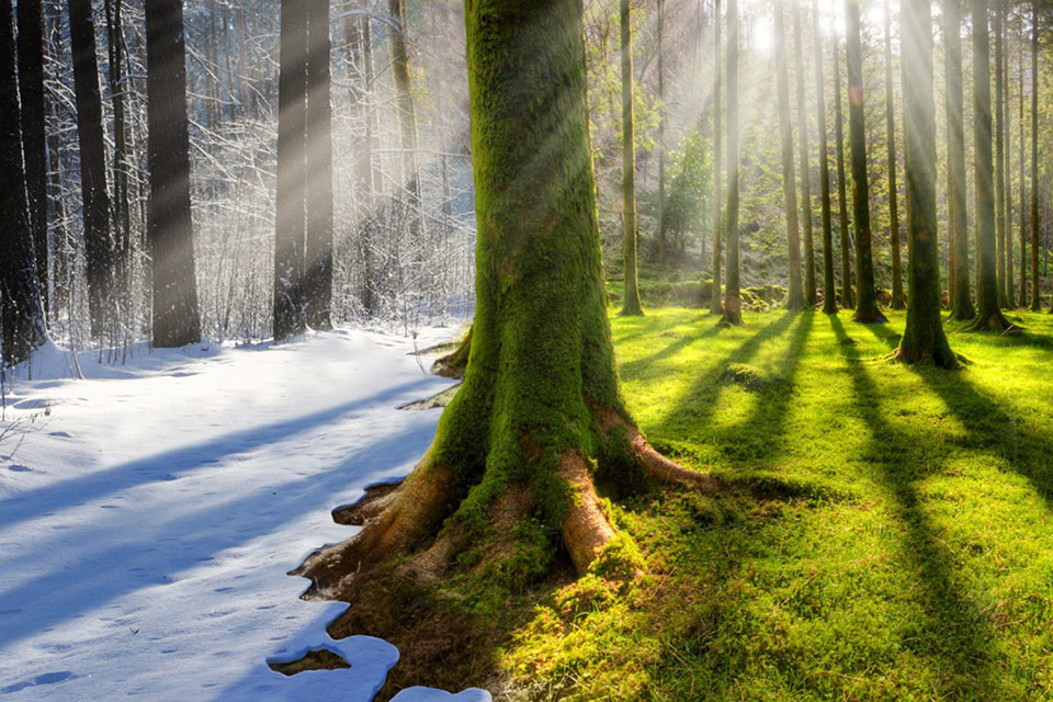 3 климатических пояса